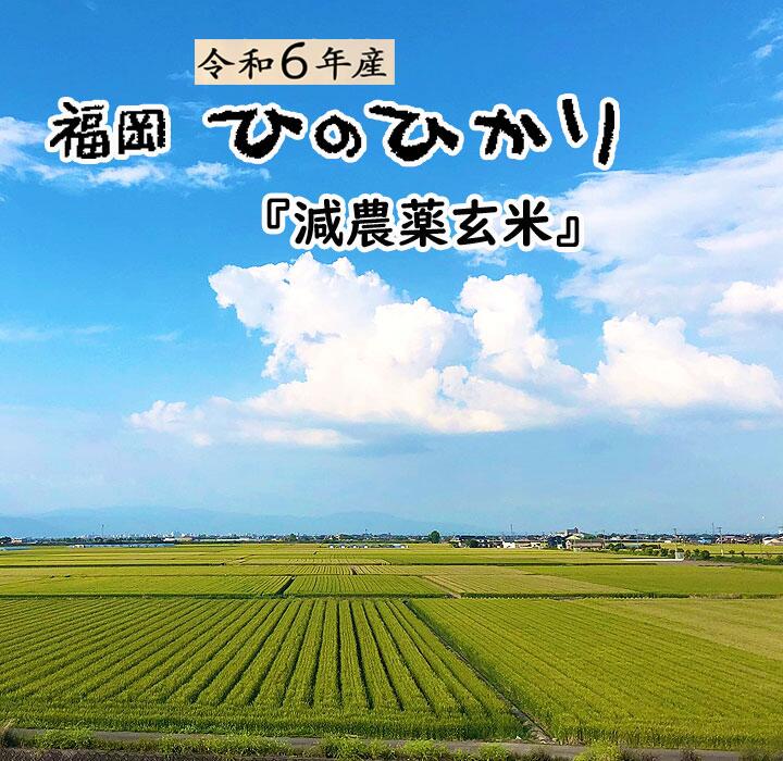 【予約割引 5%OFF】2023年産 新米 20Kg おすすめ 令和6年 玄米 ひのひかり  ヒノヒカリ 高級 減農薬米 送料無料 福岡県産 新鮮 旬 産直 特A米  美味しい うまい 厳選  1等米 国産米 20キロ 格安 ヘルシー 人気 売れ筋 まとめ買い お得【在庫少なくなっております。お早めに】