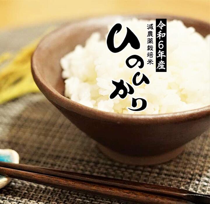 白米【まとめ買い割引】 楽天市場】【最短出荷2〜3営業日内可】【お米 令和6年 10kg 特a