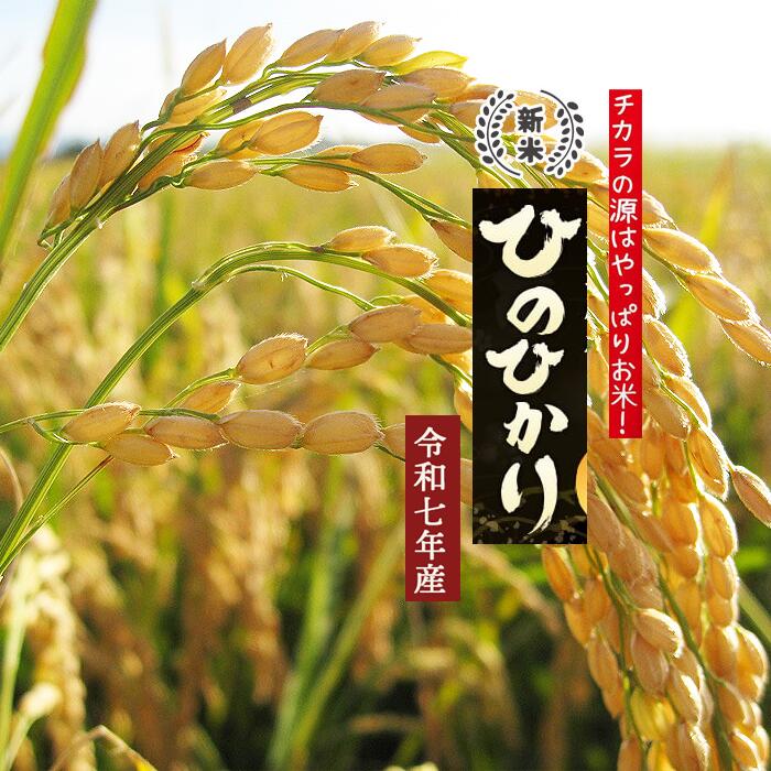 楽天市場】【新米 玄米 10kg 特a】夢つくし コシヒカリ系 2025年 お米