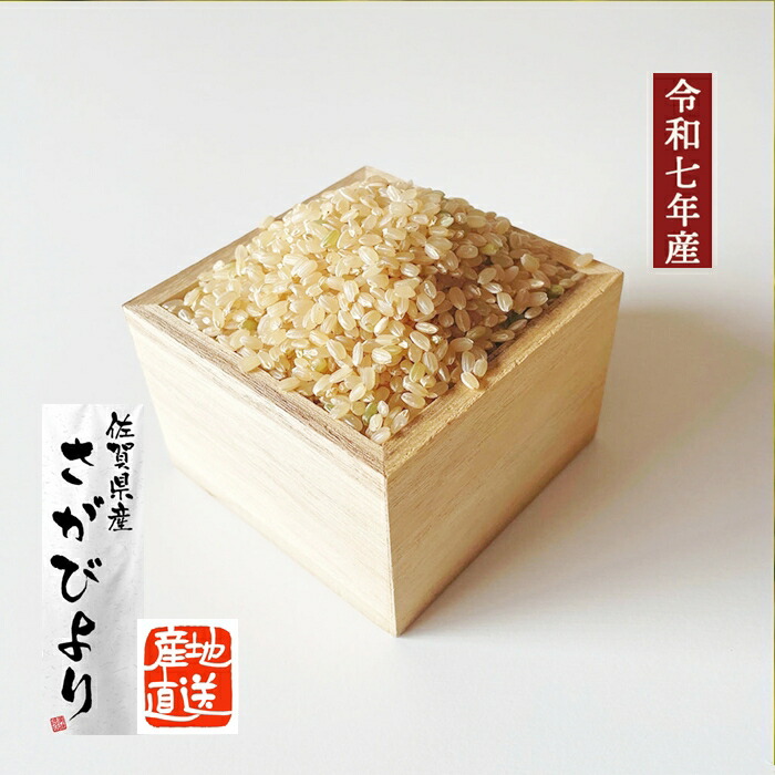 楽天市場】【 新米 令和7年 玄米 おすすめ さがびより】 2025年産米