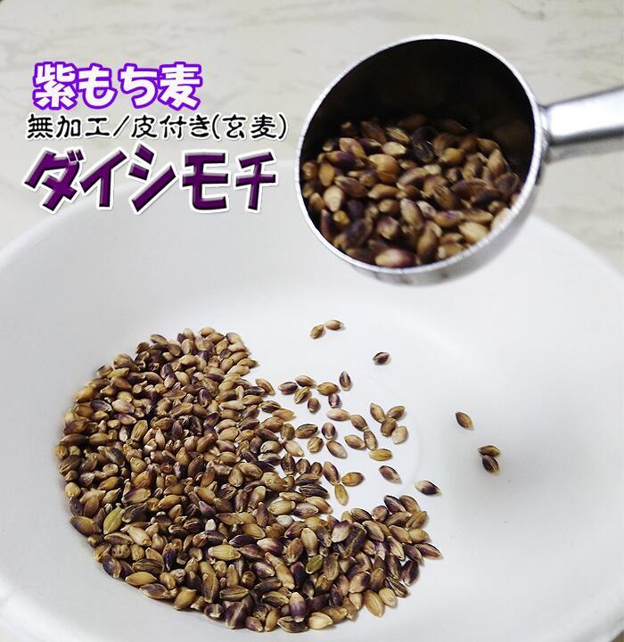 楽天市場】国産もち麦 紫もち麦 3Kg 玄麦 無加工 無農薬 ヘルシー