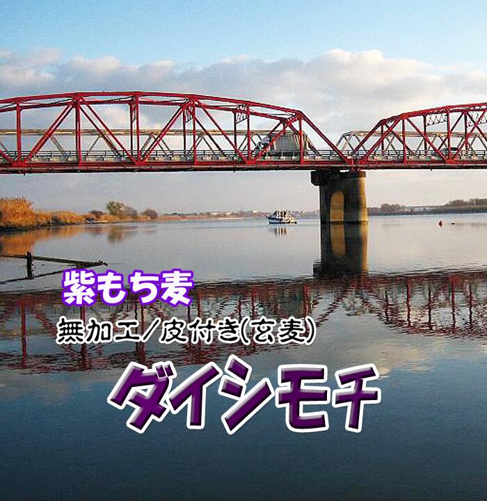 無農薬 天日干し もちむぎ 令和6年 もち麦 2024年 もち麦ごはん 紫もち麦 有機栽培 国産 3Kg (1Kgx3) 送料無料 自然食品 大麦  麦めし モチ麦 残留農薬ゼロ むらさきもち麦 無加工 玄麦 皮付き チャック付き小袋入り 九州産 ダイシモチ 皮付き 特産品 人気