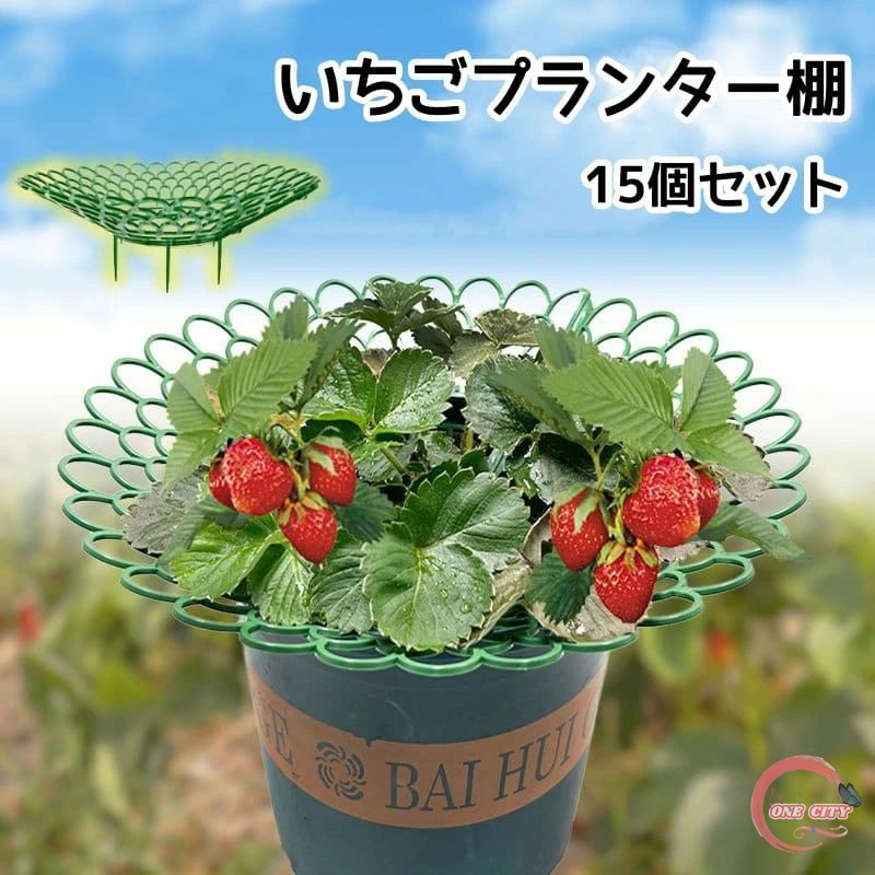 ①苺 Kasugai Xylicrystal Non-Sugar Candy - Strawberry Milk