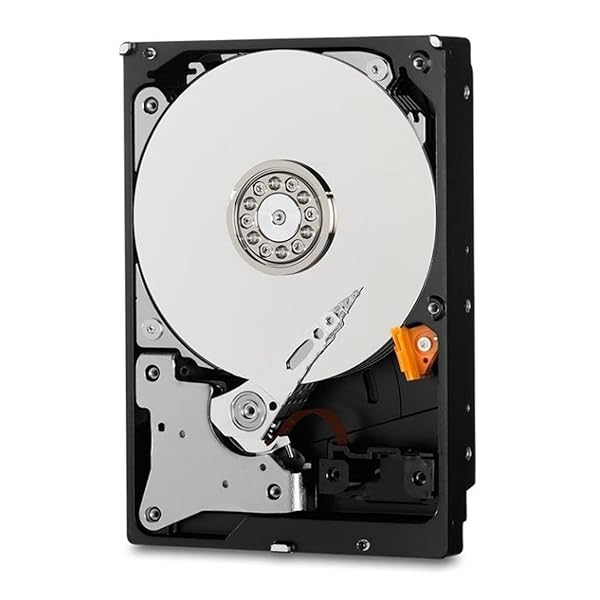 WD HDD 内蔵固定ディスク 3.5in 4結核症 WD Purple 監督すること写真機用 WD40PURX IntelliPower 3年