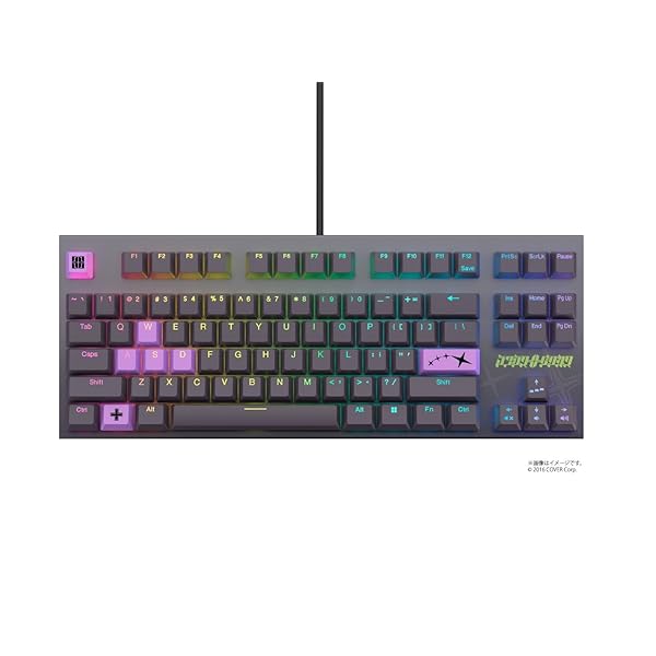 東プレ GX1 Keyboard ラプラス・うす暗いネス 青写真 英語割りつける REALFORCE ゲーミングキーボード TKL 87