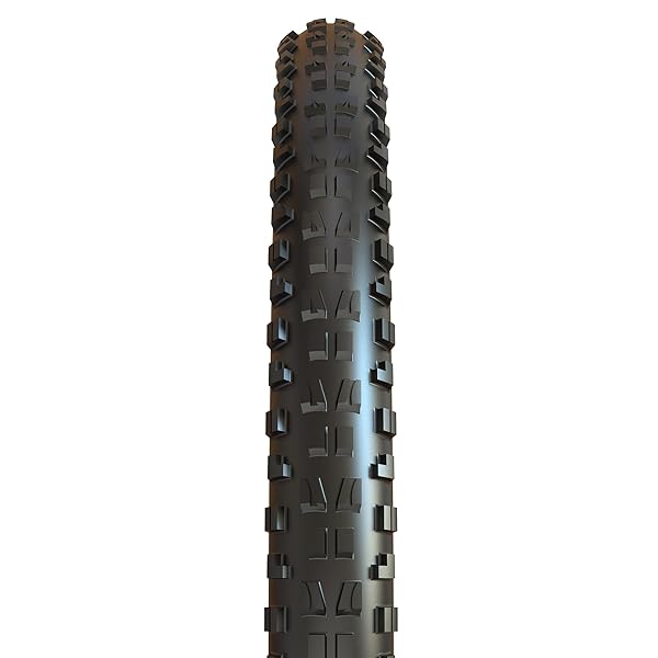 MAXXIS(マキシス) ミニオンDHF 27.5x2.5 WT MaxxTerra 3C/EXO TB85975100|OnederfulShop