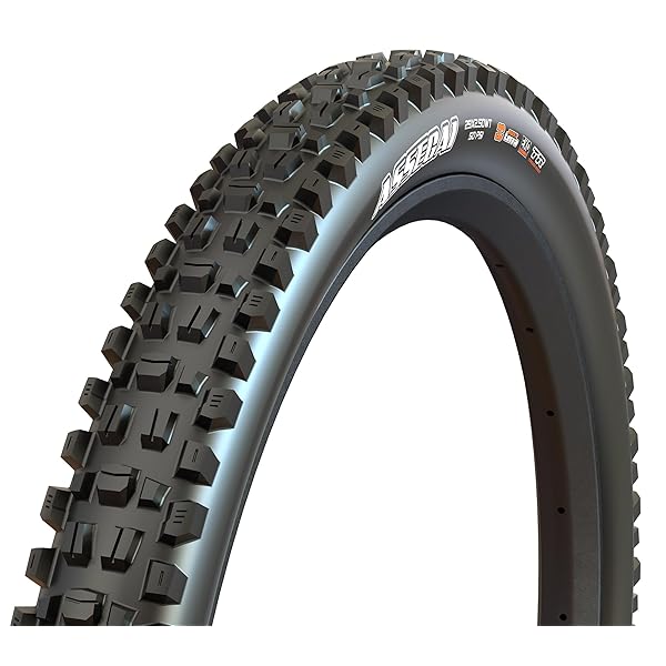 Maxxis Assemai タイヤ 27.5 x 2.5 折りたたみ チューブレス ブラック 3C Maxx Terra EXO+ ワイド トレール｜OnederfulShop