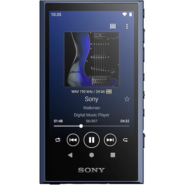 ソニー(SONY) ウォークマン 32GB A300続きもの NW-A306 : 無線電話でも ハイレゾワイヤレス/同盟罷工