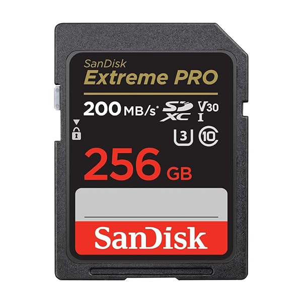 【 サンディスク 正規品 】 SDカード 256GB SDXC Class10 UHS-I V30 読取最大200MB/s SanDisk Extreme PRO SDSDXXD|OnederfulShop