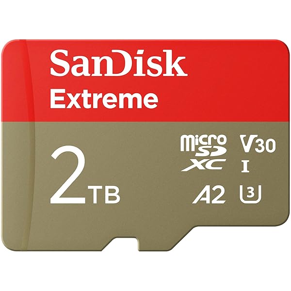 【 サンディスク 定め事品 】 SanDisk microSD 2結核症 UHS-I U3 V30 書込最大限度140MB/s Full 固定ディスク \u0026 4KExtreme SDSQXAV-2T00-GH