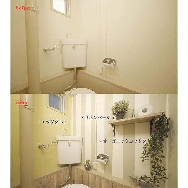 ターナー色合い(Turner Color) アクリル樹脂えの具 乳汁えの具 forウォール(室内かべ用) 杏