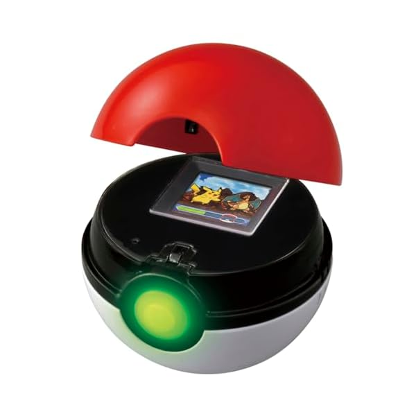 隠し異類異形 ポケモン 揉みあいでゲット!異類異形どんぶり鉢