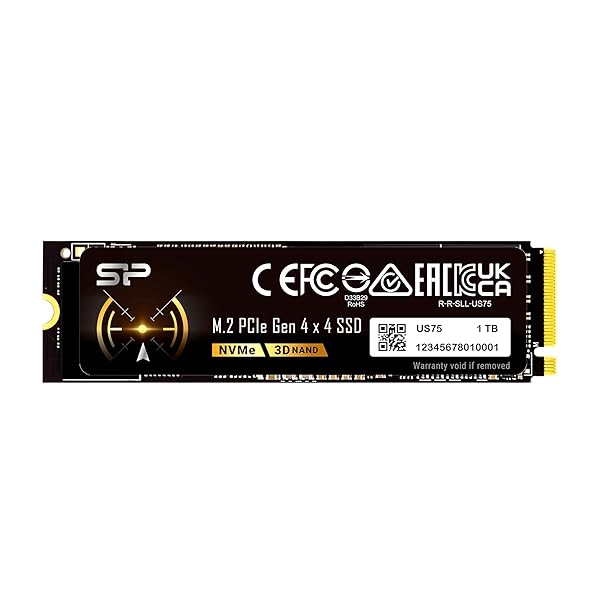 ケイ素樹脂力強さ 1肺結核 US75 NVMe PCIe Gen4 M.2 2280 SSD R/W 最大限度7000/6000MB/s Playstation 5相応う SP01KGBP44US7505