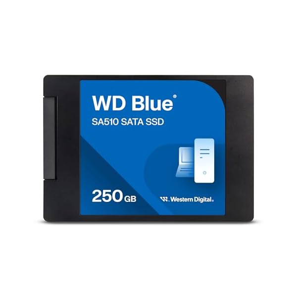 WDS250G3B0A [WD Blue SA510 SATA SSD（250GB 2.5in 7粍厚 SATA 6G 100TBW 5年）]