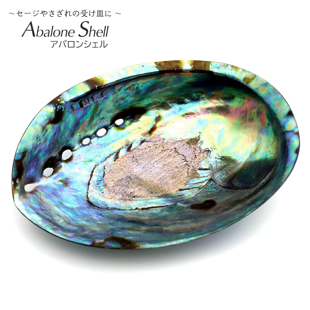 楽天市場】天然パウアシェル アバロンシェル シェルプレート 通常