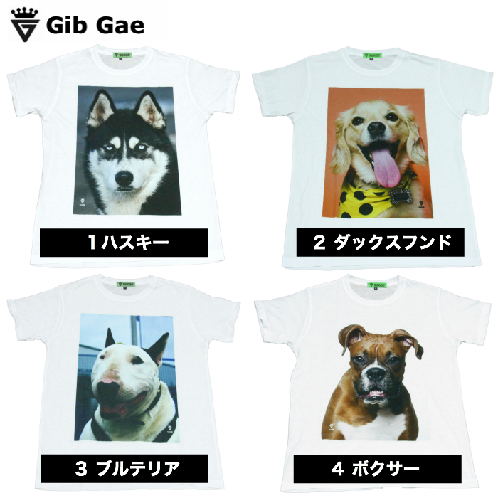 楽天市場 送料無料 Gib Gae アニマル プリントtシャツ ホワイト メンズ 犬好き わんちゃん 散歩 シベリアンハスキー ダックスフンド ブルテリア ボクサー犬 おもしろプリント かっこいい おしゃれ スケーター ストリート系 M L Xlサイズ 半袖 メンズファッションone Sky