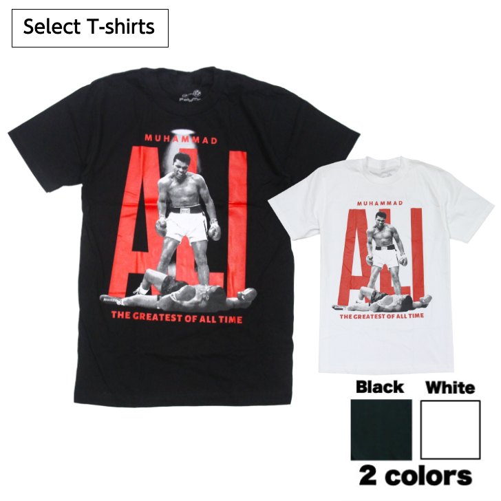 激レア　Champion BOXING Tシャツ サイズL WBC Champion Boxing Graphic T-Shirt World Champion Size