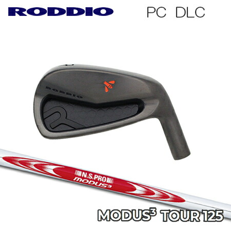 RODDIO(ロッディオ) パソコン Iron DLC + N.S.PRO MODUS3 SYSTEM3 TOUR 125【カスタム購入注文】