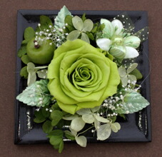 楽天市場 送料無料 壁掛け プリザーブドフラワー プリザ グリーン バラ ワンコインフラワー