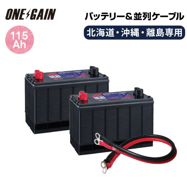 キャンピングカー 沖縄専用acデルコ 安全にご使用頂くためには 離島 のガス抜きホースが必須 2 ボイジャー ボイジャー 並列用ケーブルセット充電器 時間率容量 北海道 並列用ケーブルセット充電器 沖縄専用acデルコ 別売 Delco M31mf レジャー 車中泊や非常用