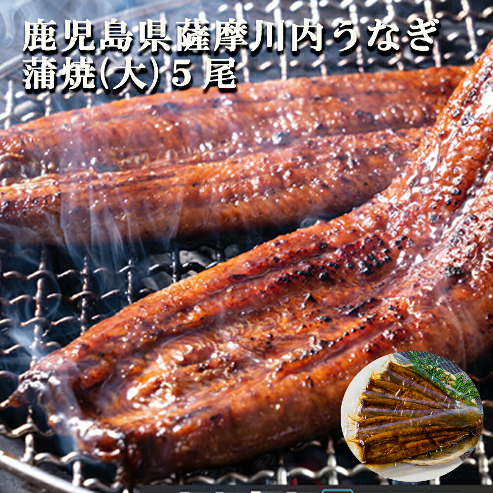 ギフト スタミナ うなぎ 国産 送料無料 薩摩川内鰻蒲焼 (大) 無頭５尾 セット 冷凍発送 鰻 ウナギ 鹿児島 手土産