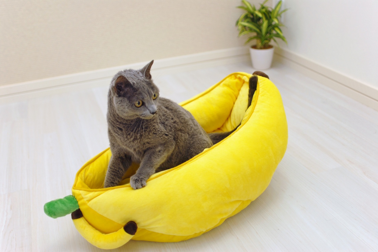 楽天市場 バナナ型ベッド ペットベッド 猫 犬 かわいい 癒し 送料無料 コロリエ 楽天市場店