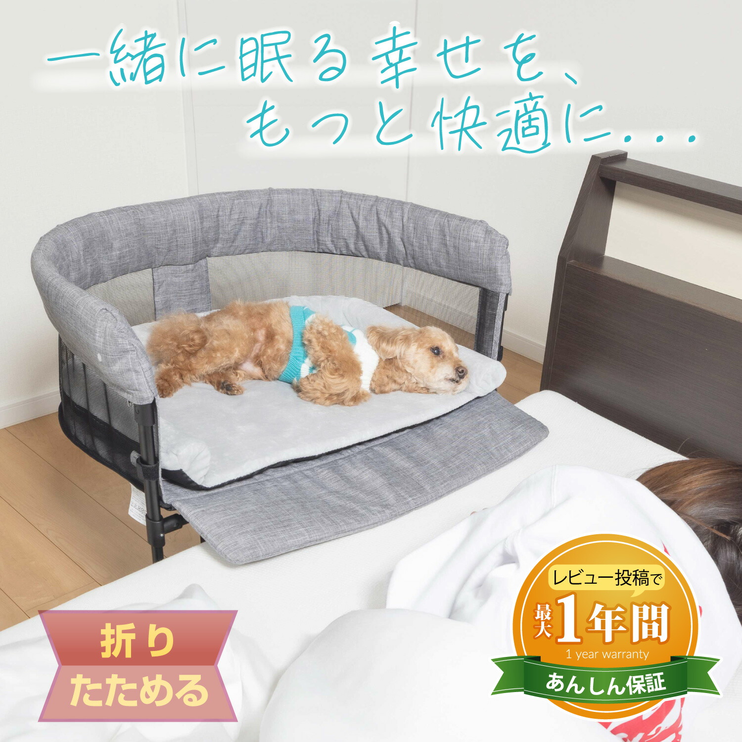 レビュープレゼントキャンペーン！