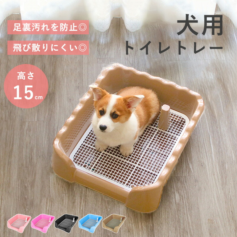 楽天市場】 【当店オリジナル】【ちょっと高いけどすごく便利な