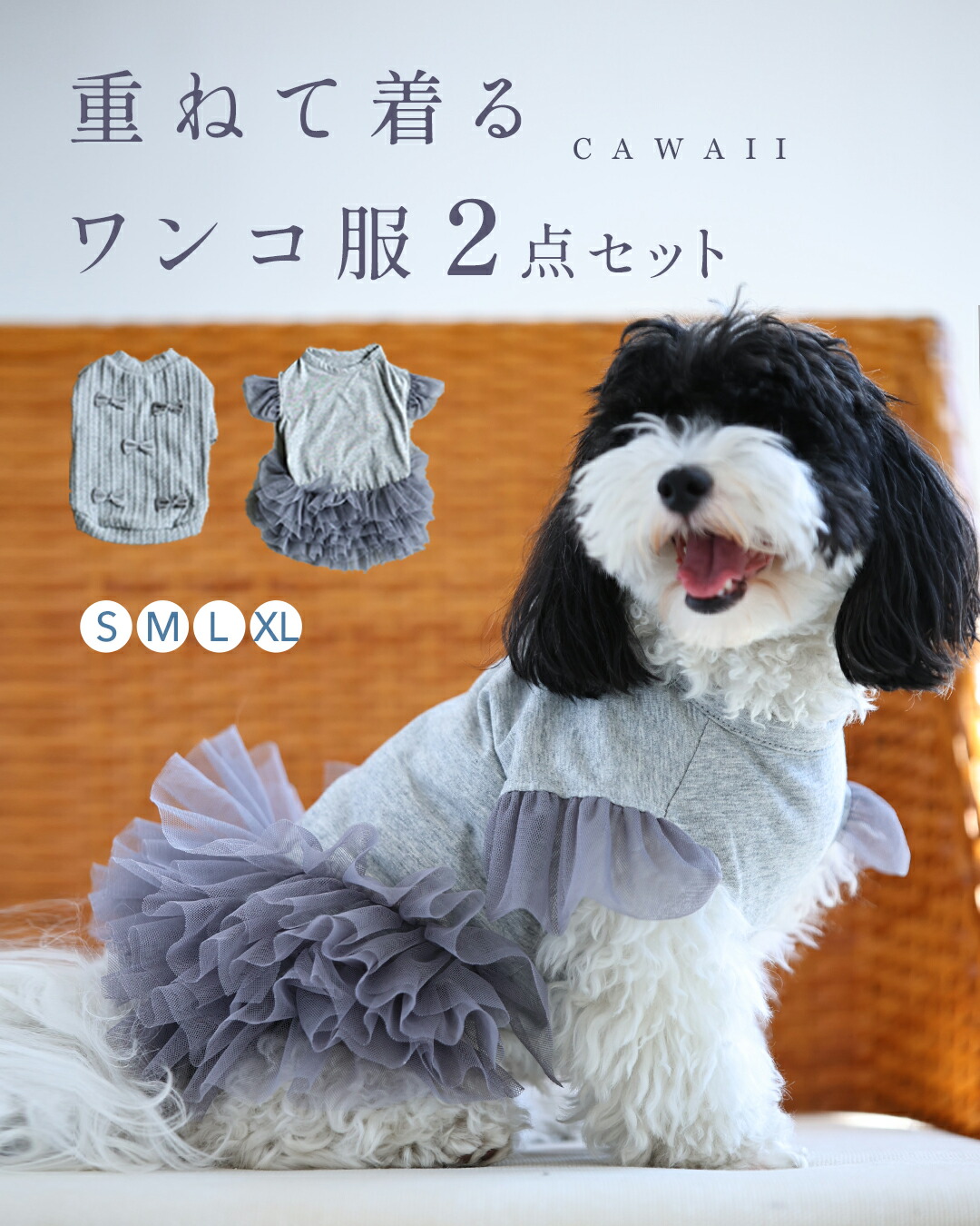 LIVE買い出し「アーカイブ」