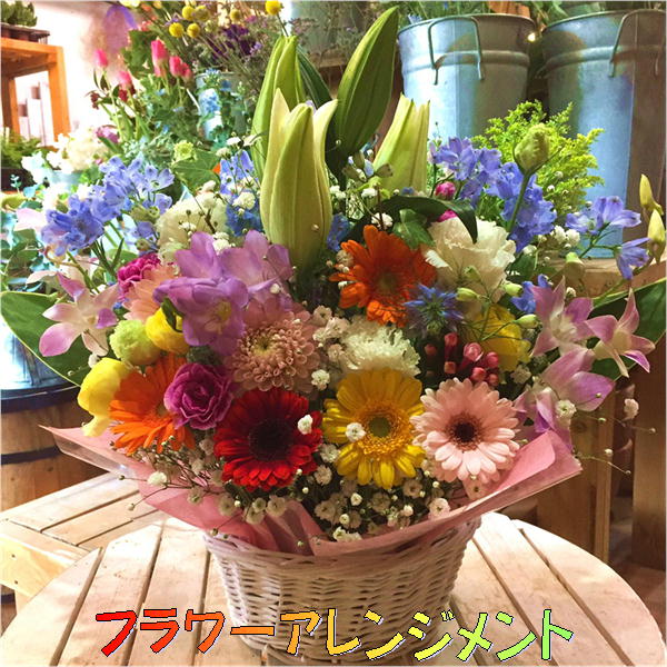 スイカ 花 言葉 最新作 63 割引 Allegrolinker Rexoft Pl