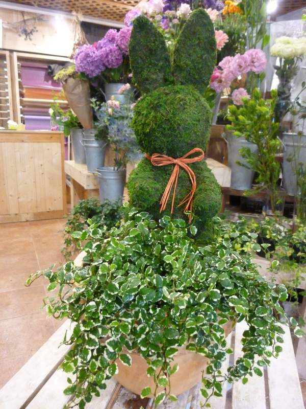 日本製 観葉植物 おしゃれ ギフト 送料無料 斑入りフィカスプミラを植え付けたアニマルトピアリーモス 動物シリーズ ウサギ うさぎ さん Lllサイズ テラコッタ陶器鉢植え プレゼントに 寄せ植えにも変更可能 別料 フラワーギフト 楽ギフ メッセ入力