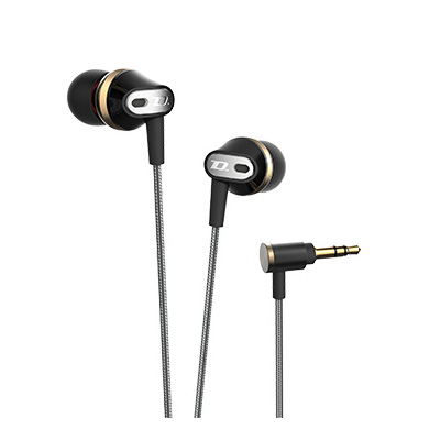 【長期保証付】DynamicMotion DM100 Dynamic Motion カナル型イヤホン