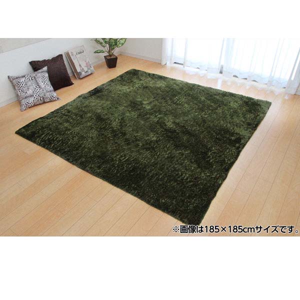 イケヒコ ラルジュ ラグ 200&times;250cm グリーン[ ラグ カーペット シンプル 軽量 オールシーズン ]『代引不可』『送料無料（一部地域除く）』｜よろずやマルシェ