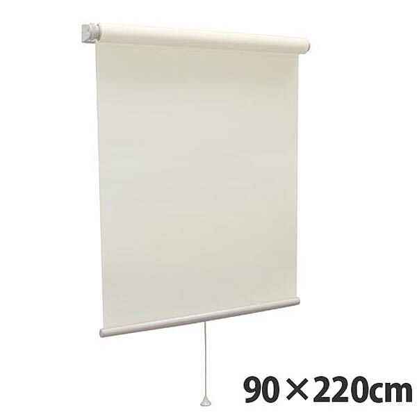 【高品質＆高機能】 規格品『ティオリオ』 ロールスクリーン 無地防炎 90×220 TR-3135 ココ 【代引不可】【送料無料（一部地域除く）】