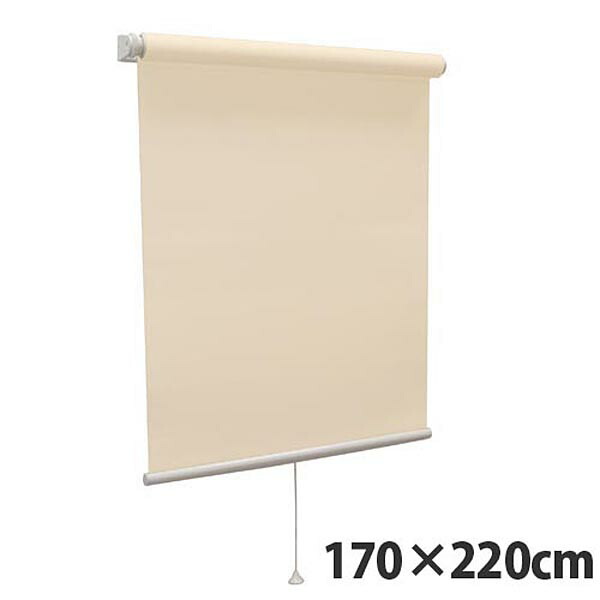 【高品質＆高機能】 規格品『ティオリオ』 ロールスクリーン 無地防炎 170×220 TR-3165 アプリコット 【代引不可】【送料無料（一部地域除く）】
