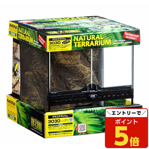 ダ*ボ様 グラステラリウム3030 飼育ケージ 温度計付き 楽天市場】GEX グラステラリウム 3030 爬虫類 飼育 ケージ