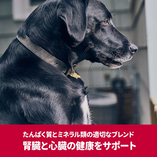 ヒルズ サイエンス ダイエット プロ 犬用 7歳 健康ガード 腎臓 心臓 小粒 3 3kg 2個 ペットフード ドッグフード ドライフード 送料無料 一部地域除く Theconnect Co Zw