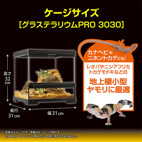 ジェックス レオパ飼育キット GTP3030 爬虫類 ヒョウモントカゲモドキ