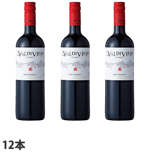 【取寄品】 バルディビエソ バルディビエソ メルロー 750ml×12本 完熟プラムのフレーバーにチョコやスパイス、スモーキーな香り 【送料無料(一部地域除く)】