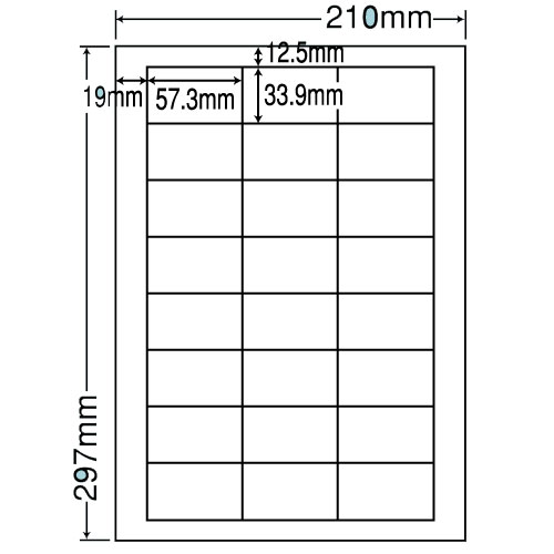 ラベルシール LDW24U ページプリンタラベル 500(100×5)シート 【代引不可】 【送料無料(一部地域除く)】