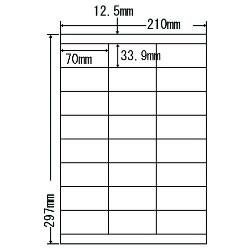 ラベルシール 東洋印刷 LDZ24UX カラーインクジェット用A4 500シート 【代引不可】 【送料無料（一部地域除く）】