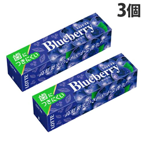 楽天市場】ロッテ キシリトール ファミリーボトル ライムミント 133g