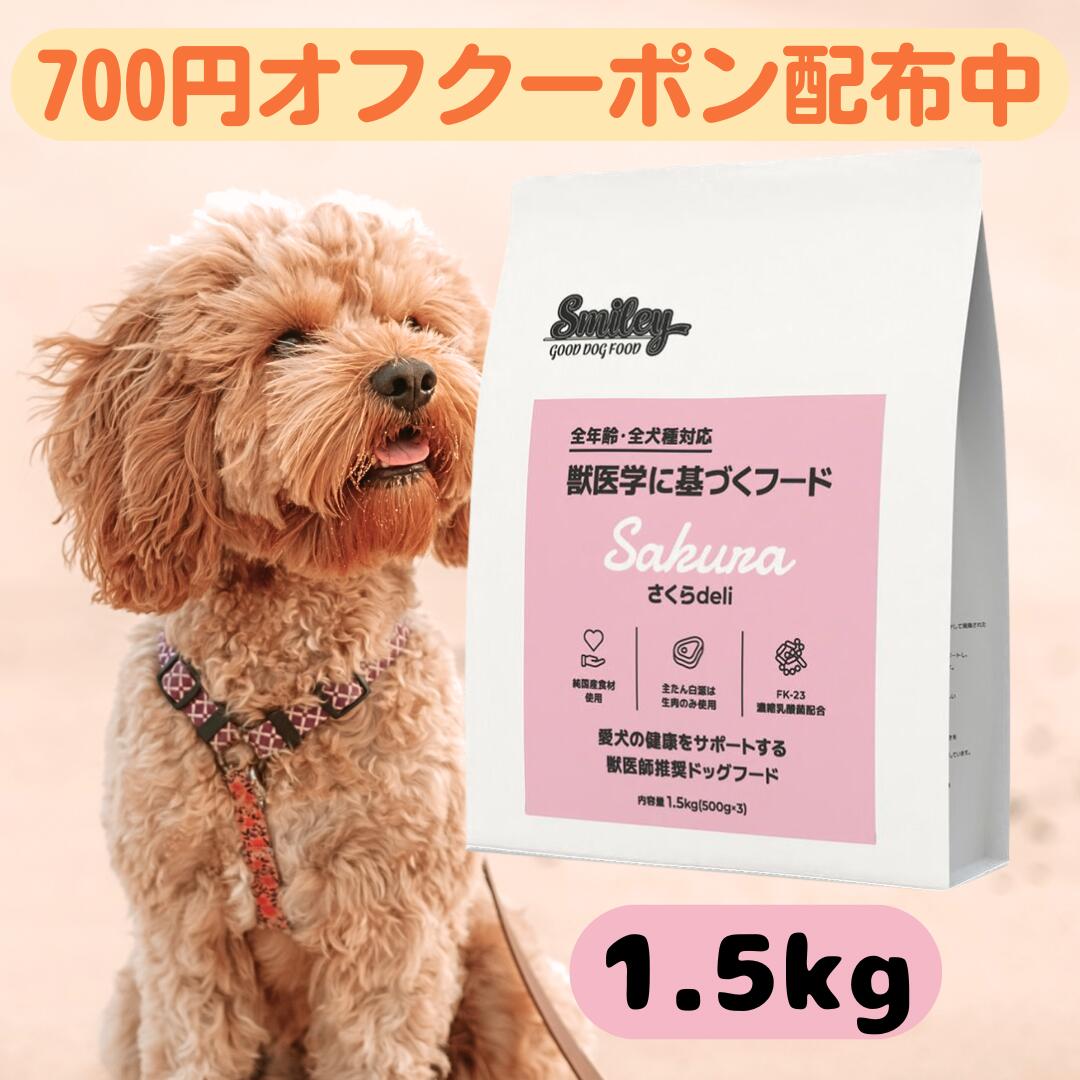 楽天市場】スマイリー 国産 チキン 【賞味期限2026年9月】 チキンデリ