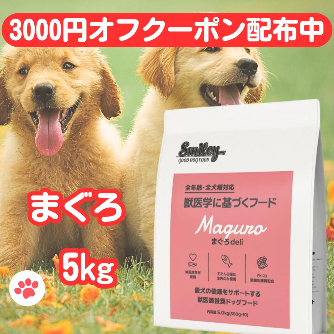 楽天市場】スマイリー 国産 チキン 【賞味期限2026年11月】 チキンデリ