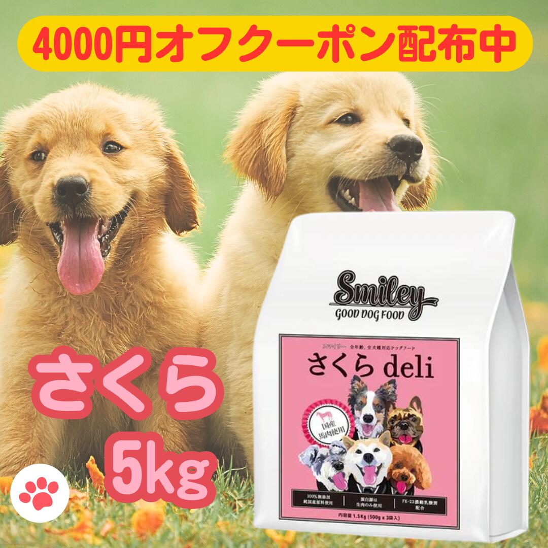 Smiley(スマイリー)　国産チキンdeli 5kg Smiley 国産チキンdeli – 株式会社Biペットランド_