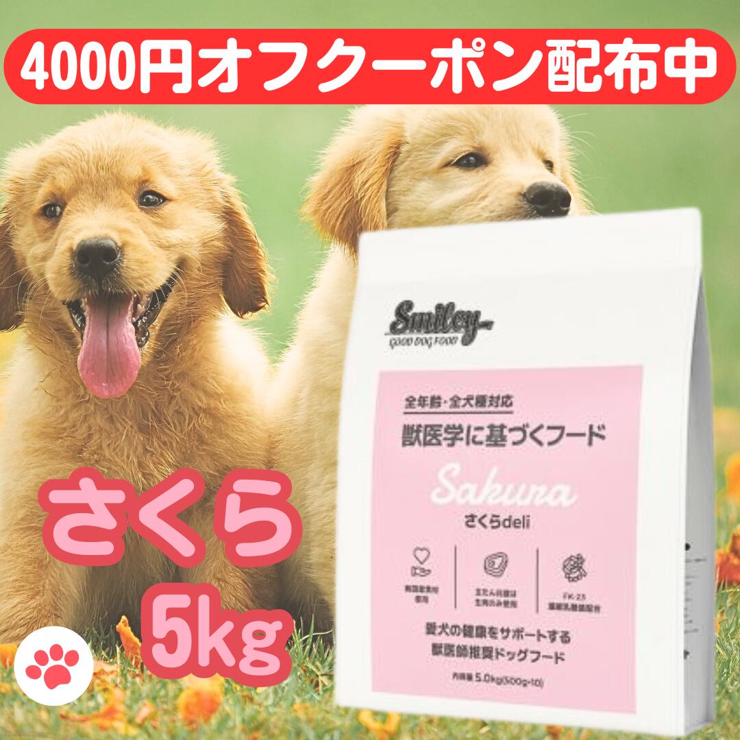 楽天市場】スマイリー 国産 チキン 【賞味期限2026年11月】 チキンデリ