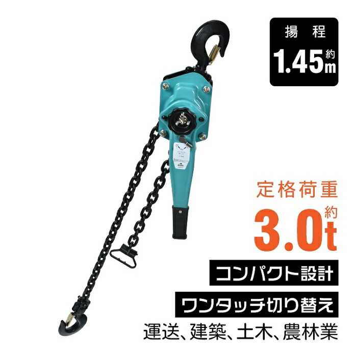 生き肝立ちはだかる 生き肝ホイスト 3.0米トン 2.0米トン 1.5米トン 0.75米トン 荷総締めやり方 耐久性威風堂々たる 力強さ生き肝 持ちはこぶ業 掛け目物 据えつける 貨物自動車 積貨委託貨物 掛け目物据付 工事 持ちはこぶ 組み上げる 土木 一こま 稼穡業 送りとどける 搬入 新発売 新商いもの 即納