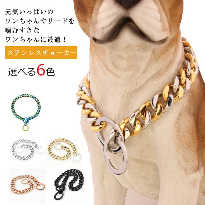 楽天市場】ワンちゃん用 チョーカー 大型犬用 ステンレス