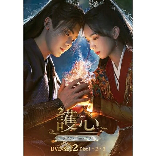 DVD / 海外TVドラマ / 護心(ごしん)～デスティニー・ラブ～ DVD-SET2 / KXBL-65