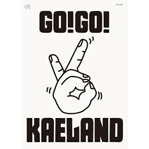 BD / 木村カエラ / KAELA presents GO!GO!KAELAND 2024 -20years anniversary-(Blu-ray) / VIXL-487